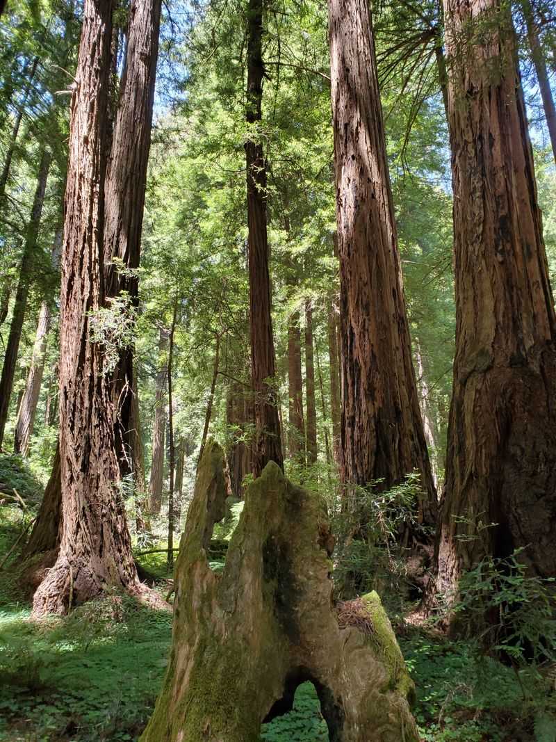 Sounds That Stay With You