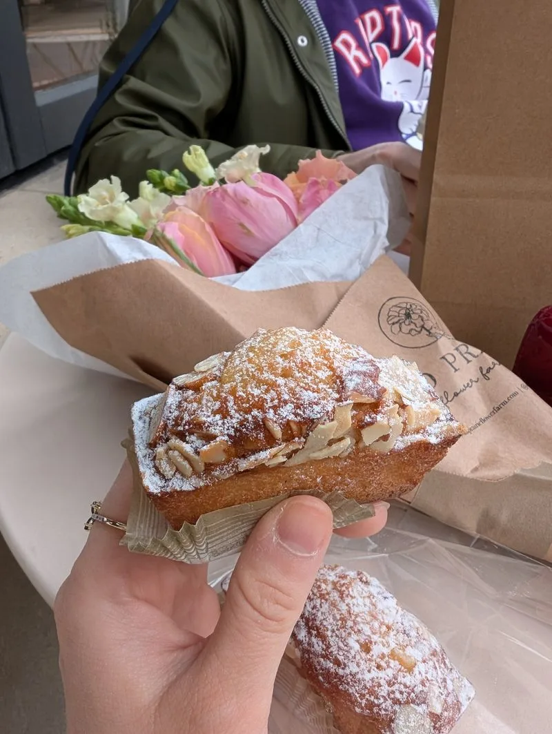 When to go and how to beat the rush