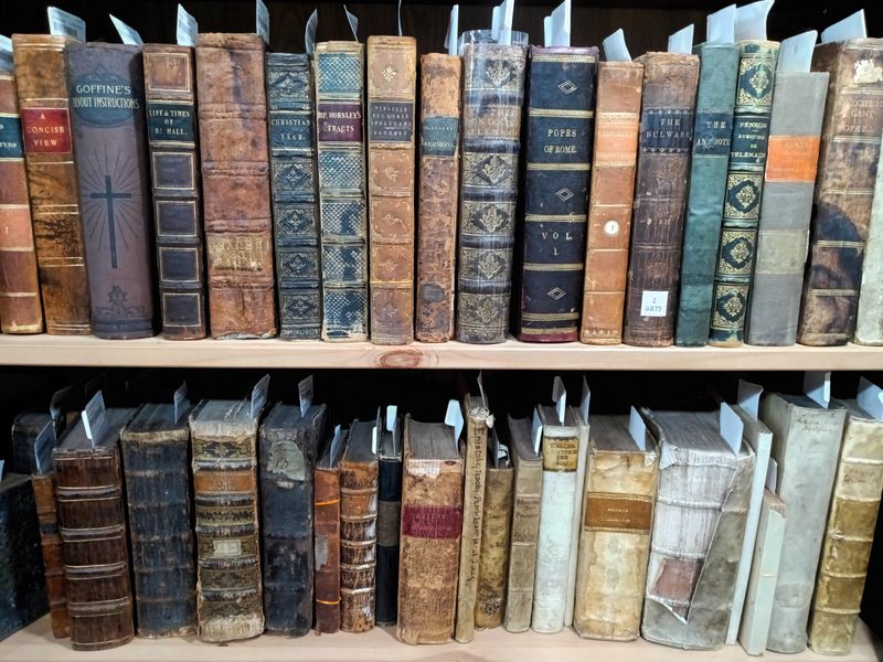 Vintage Book Collection