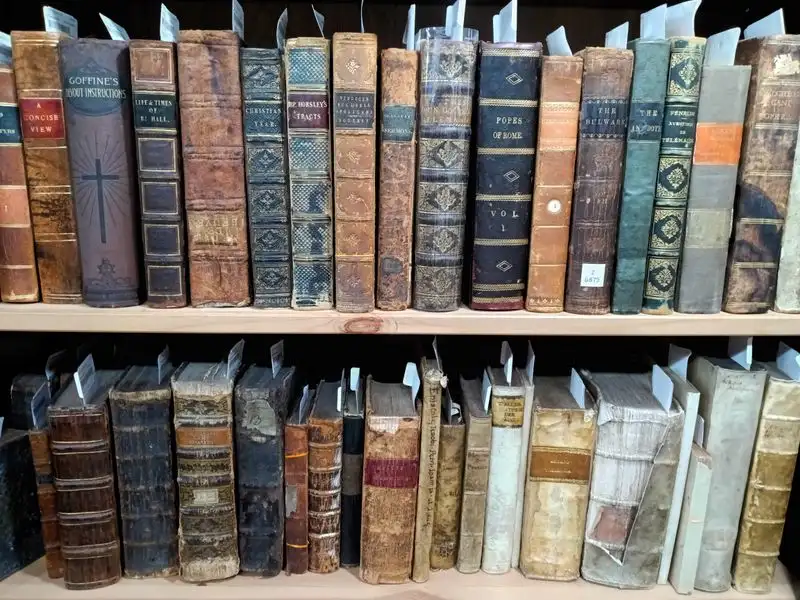 Vintage Book Collection
