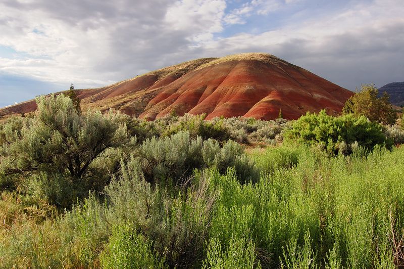 Painted Hills Unit