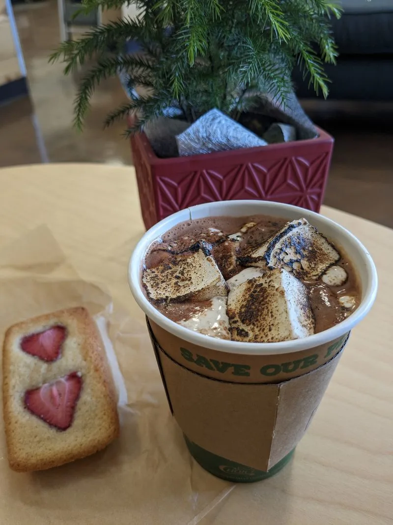 Warm-Up Cafes and Cocoa Stops