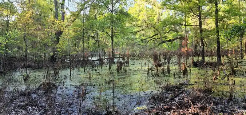 Flora and Fauna Along the Route
