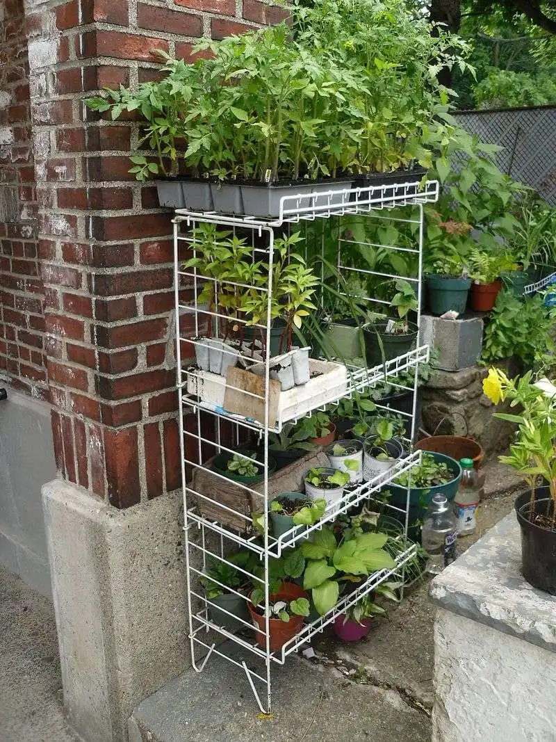 Antique Shops on Main Street