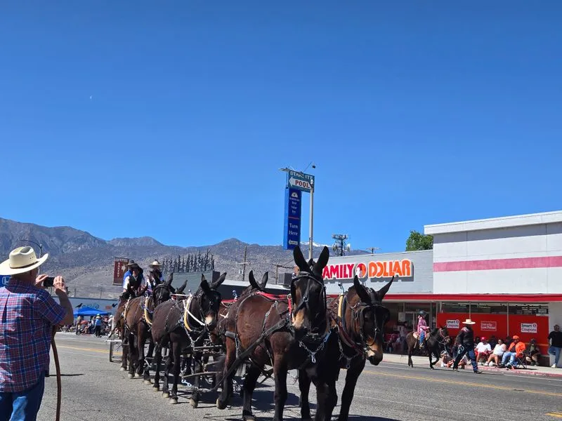 Community Events and Bishop Mule Days Spirit