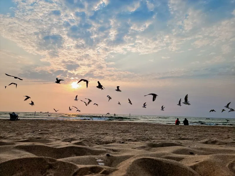 Lake Macatawa Waterfront and Channel Views