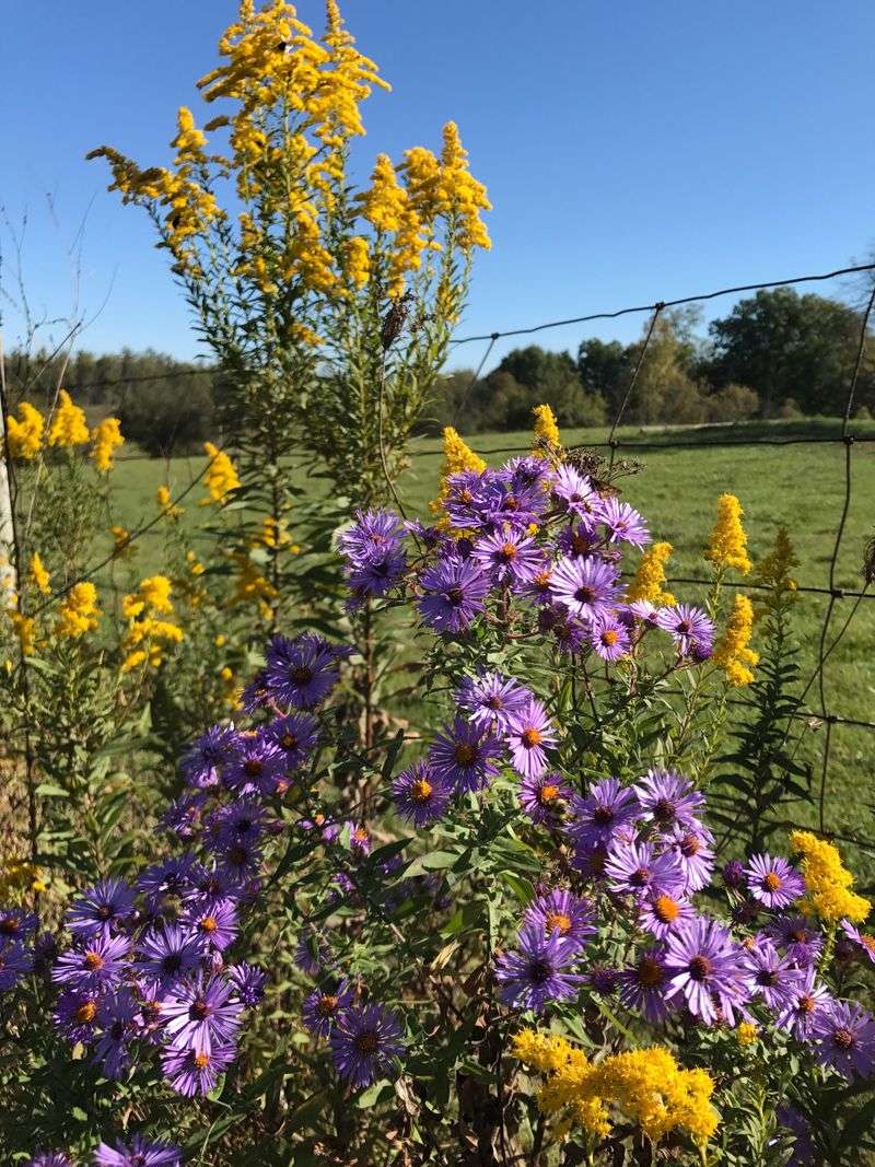 Licking County Trails Link