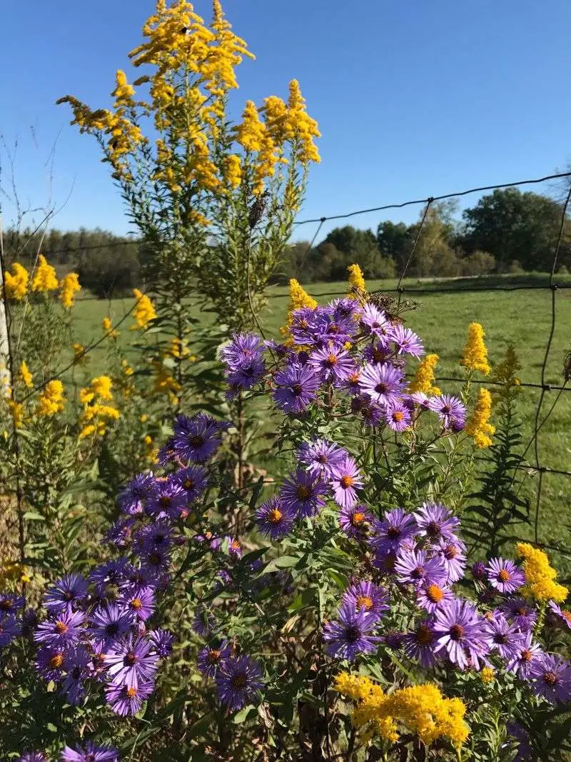 Licking County Trails Link