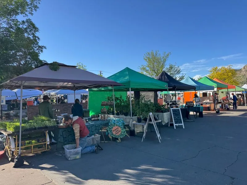 Community Events and Holiday Traditions