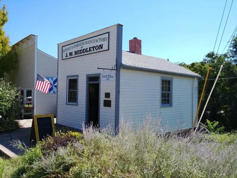 Food Finds and Treats