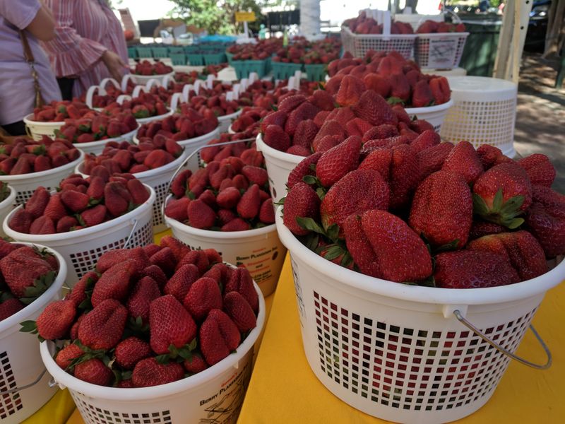 Seasonal Fruits Spotlight