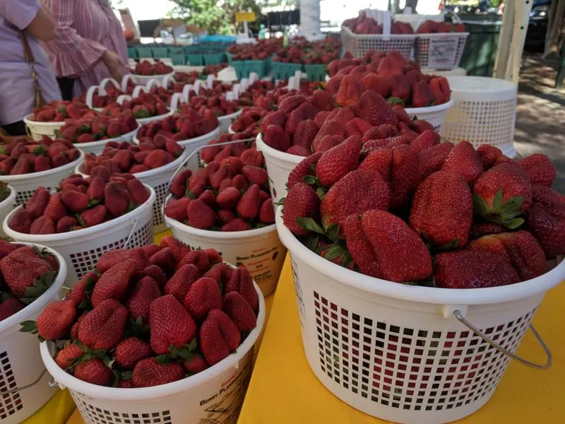 Seasonal Fruits Spotlight