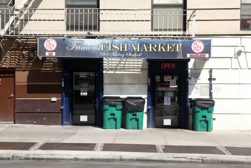 Essential quick facts and final tips