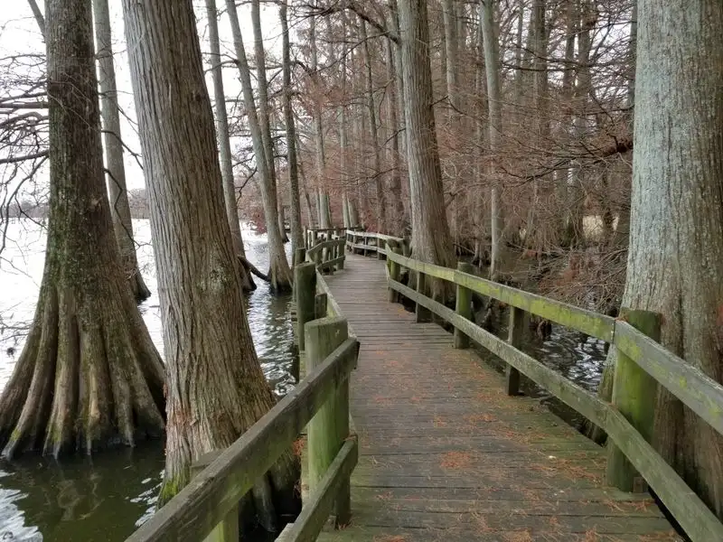 Reelfoot Lake State Park