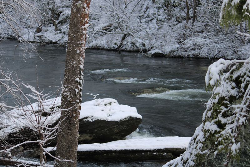 Tellico Plains (Monroe County)