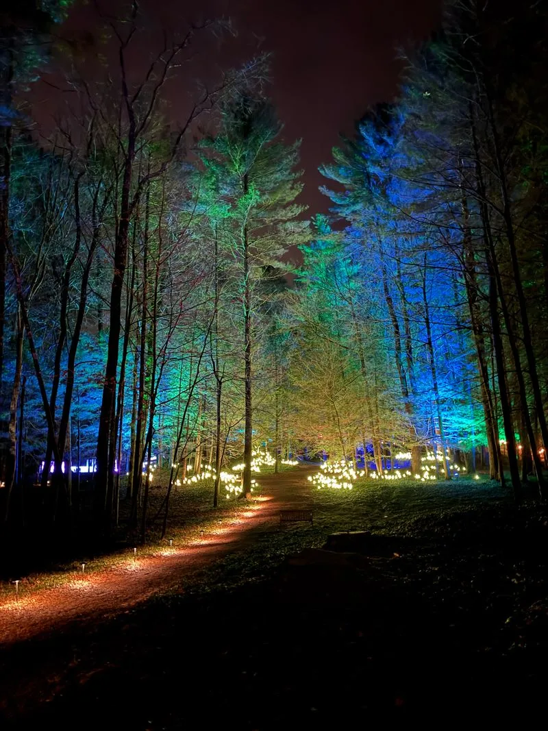 NightWood at The Mount, A Short Winter Escape