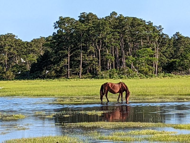 Maryland &ndash; Assateague Island National Seashore