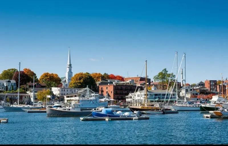 A quiet arrival: why early winter in Camden feels different