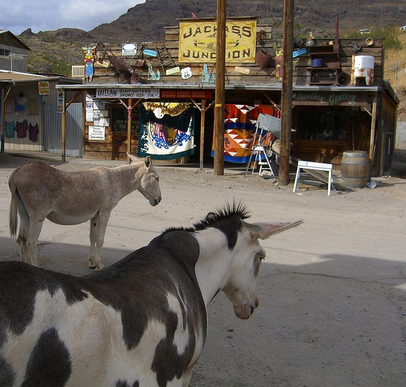 Oatman, Arizona