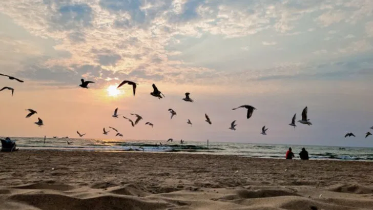 Michigan has a lakeside town where holiday storefronts, winter walks, and harbor lights shape an easy December visit