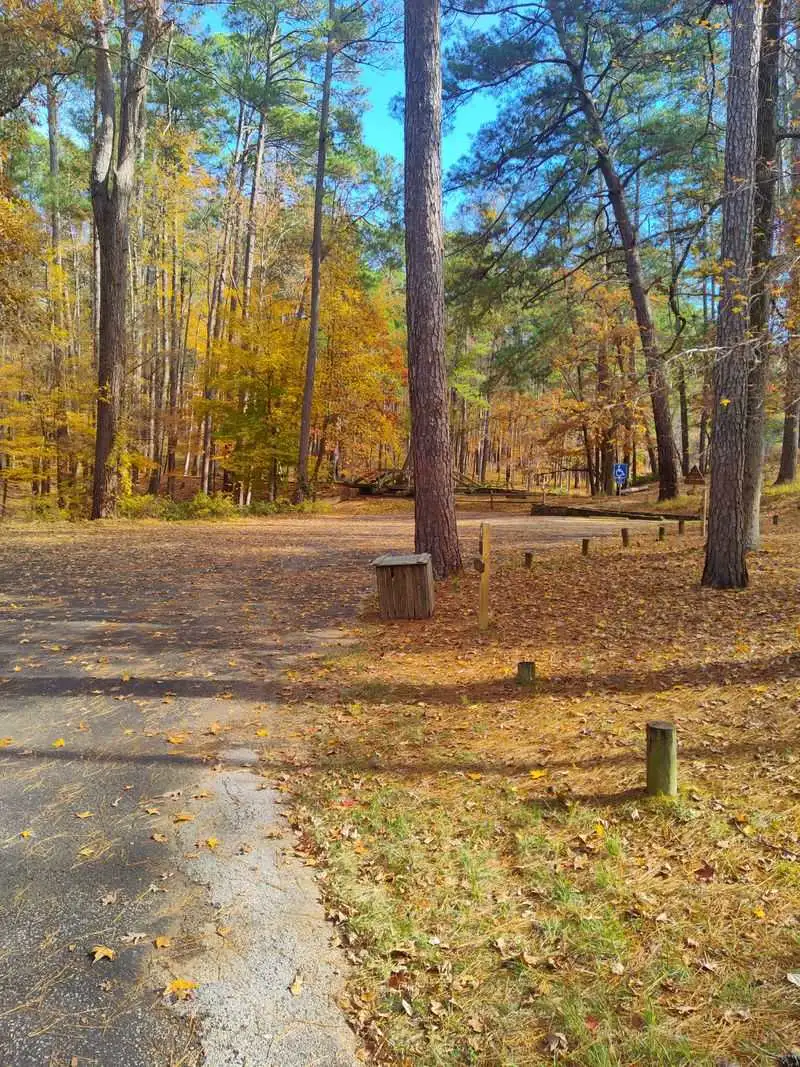 Mission Tejas State Park