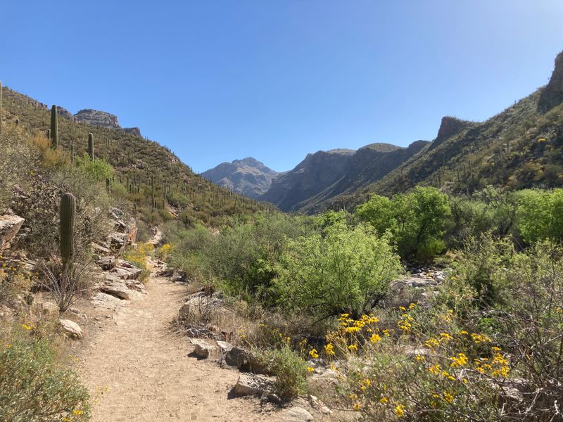 Hiking in Sabino Canyon
