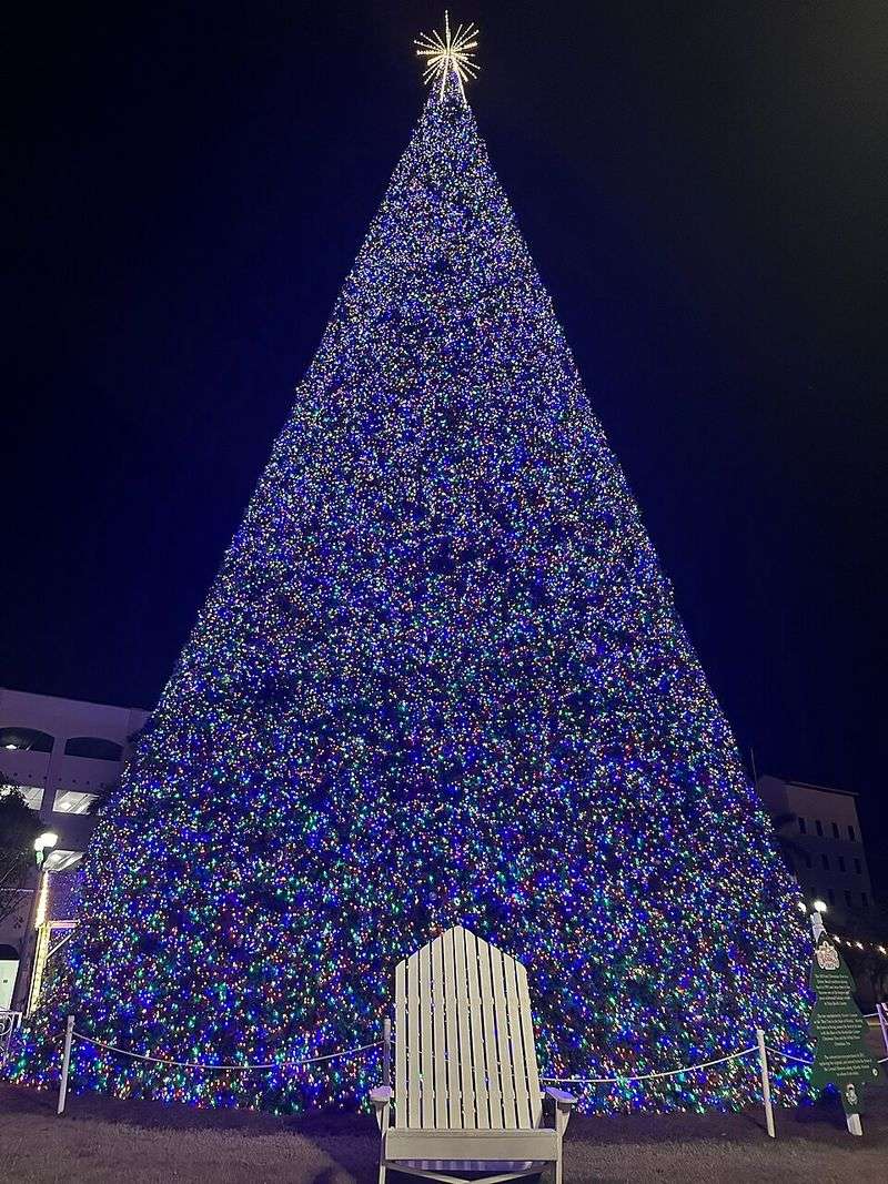 Delray Beach Christmas Tree — Delray Beach, Florida