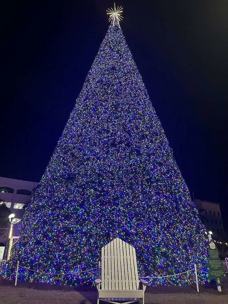 Delray Beach Christmas Tree &mdash; Delray Beach, Florida