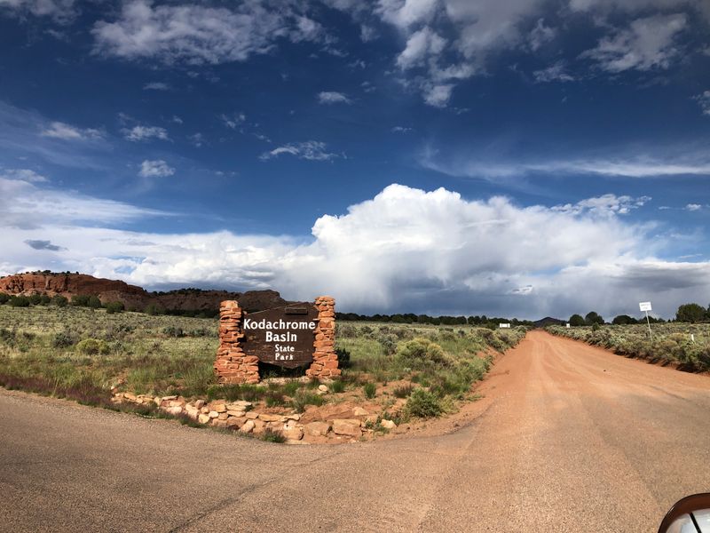 Family Friendly Playbook