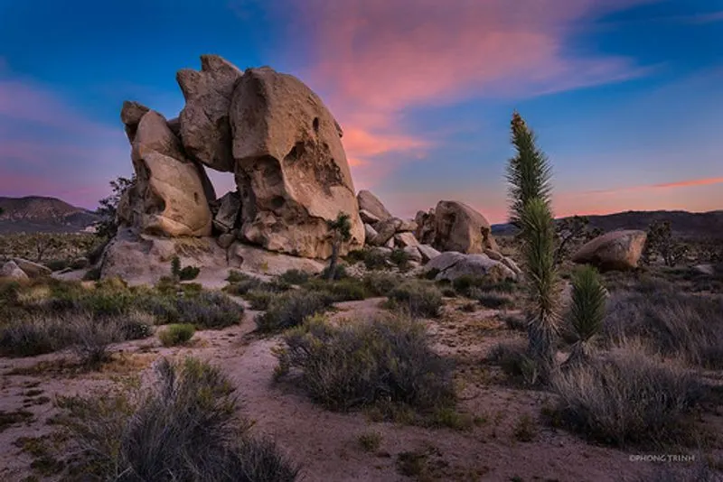 Joshua Tree National Park