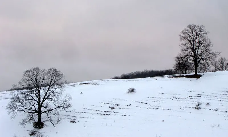 Quieter Trails at Blue Ridge Parkway