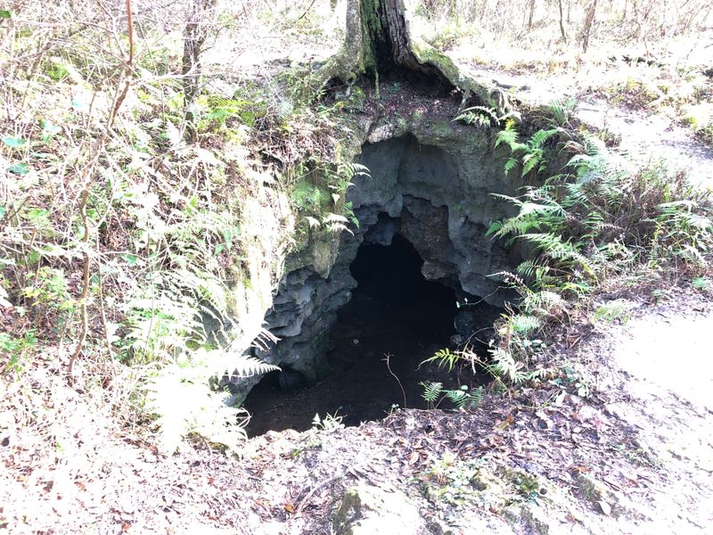 Caves and Rock Walls: What to Expect