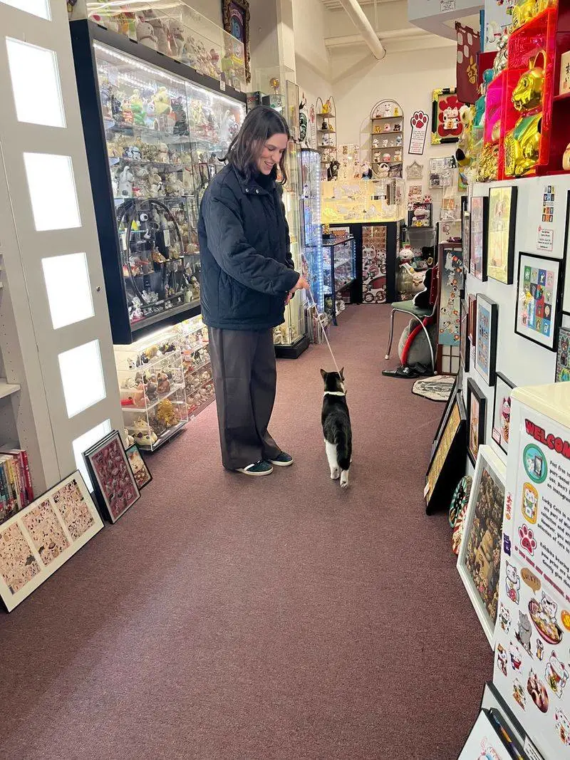 Practical info: accessibility, timing, and contact