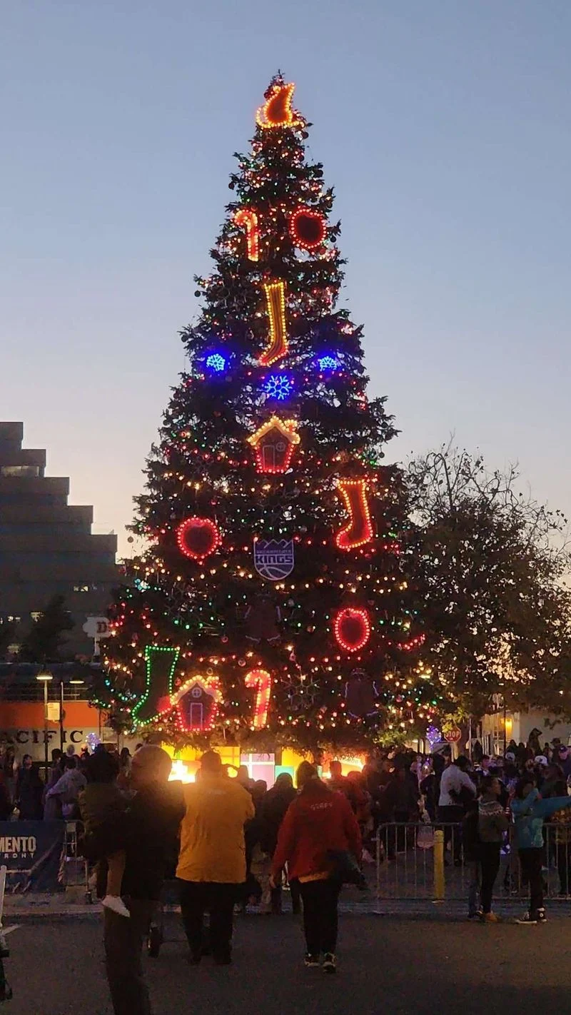 Sacramento Holiday Market and Tree Lighting