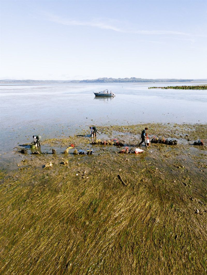 Pacific Northwest Environmental Consciousness