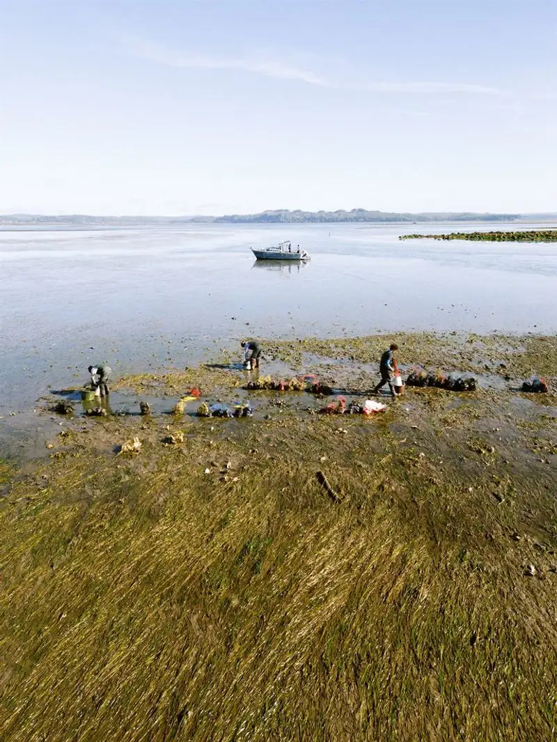 Pacific Northwest Environmental Consciousness