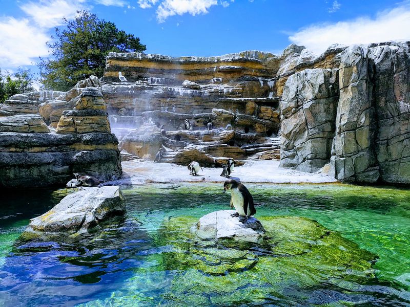 Woodland Park Zoo
