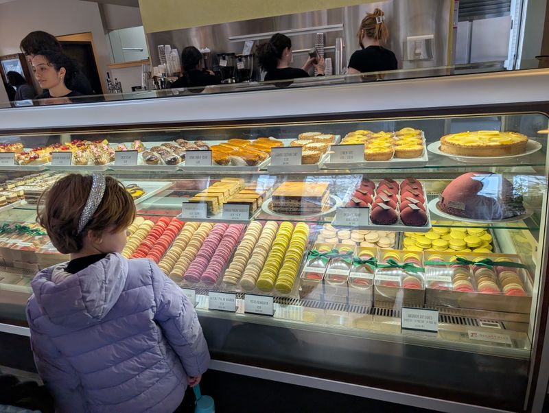 Ohio &ndash; Pistacia Vera (Columbus)