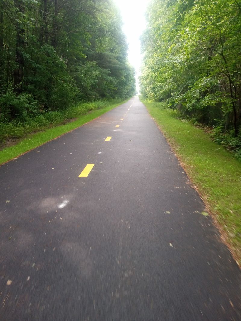 Town Forest Trails and Family Hikes