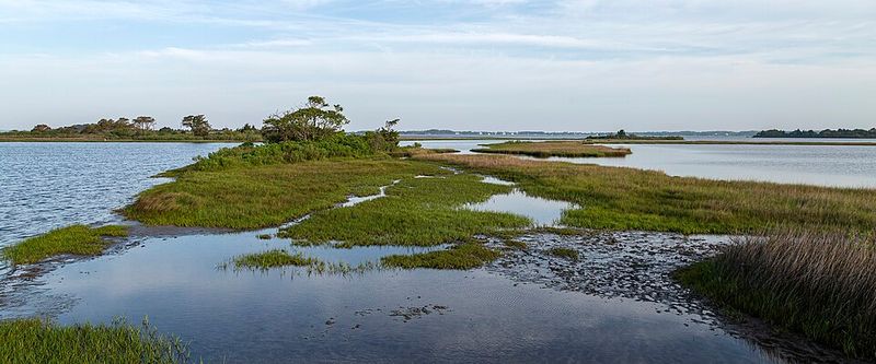 Assateague Island, Maryland