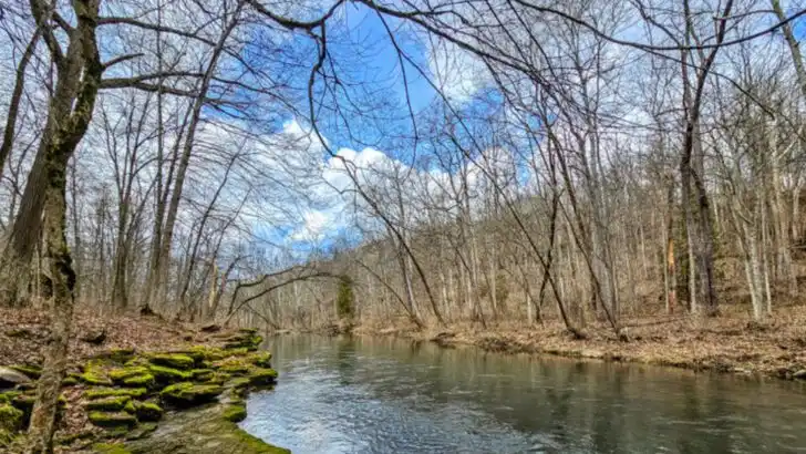 Ohio’s wooded state parks that reviewers point out become ideal for slow mornings in the cold season