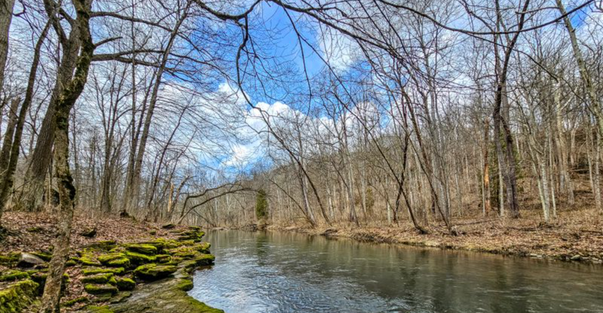 Ohio’s wooded state parks that reviewers point out become ideal for ...