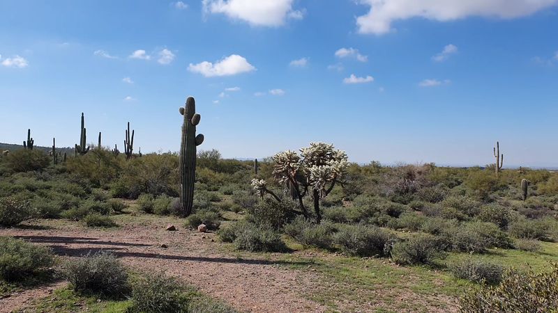 Lost Dutchman State Park