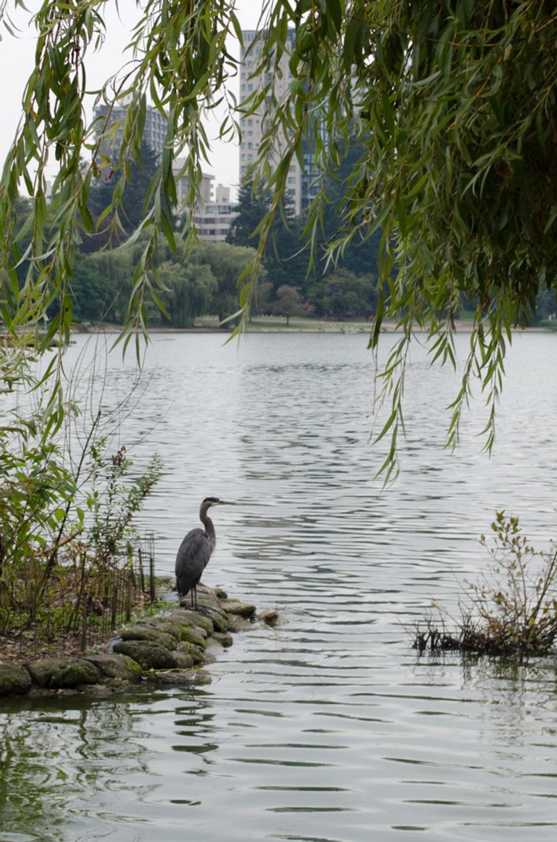 Vancouver, Washington