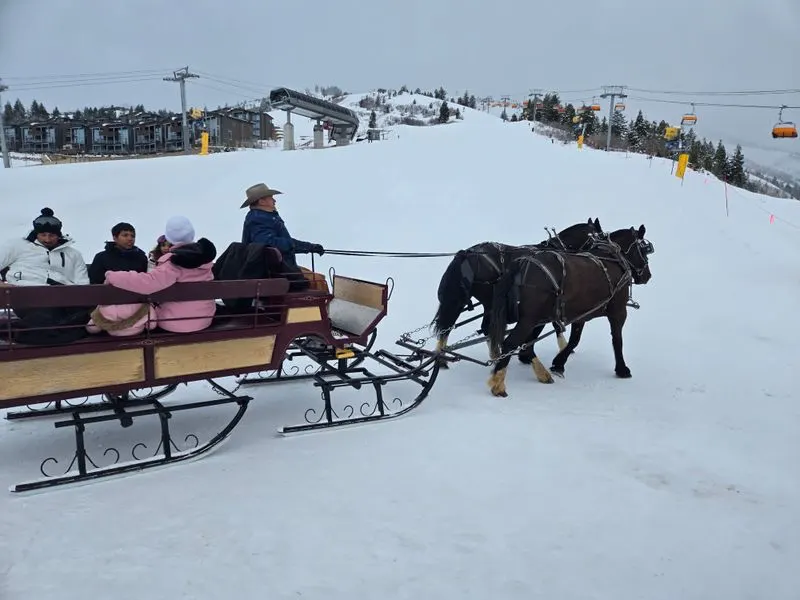 Holiday Sleigh Rides and Carriage Rides