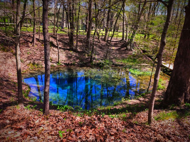 Red Clay Historic Park