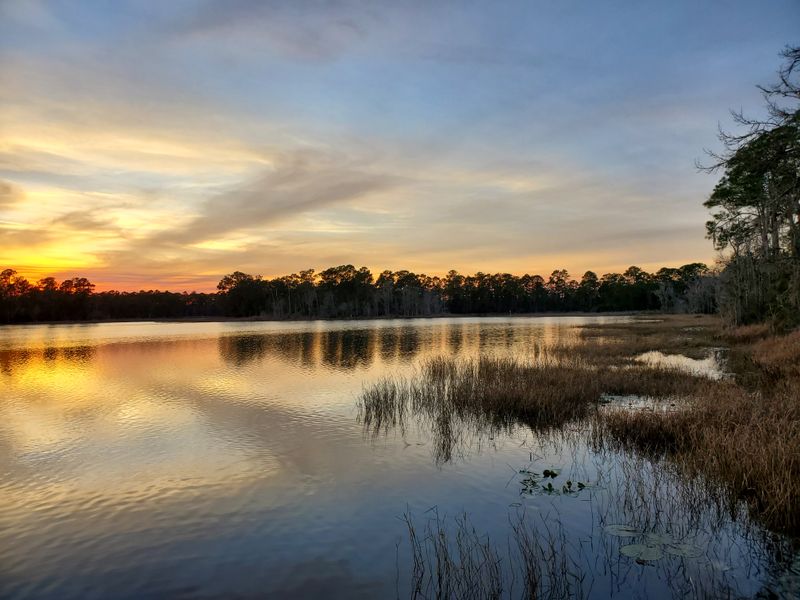 Ocala National Forest