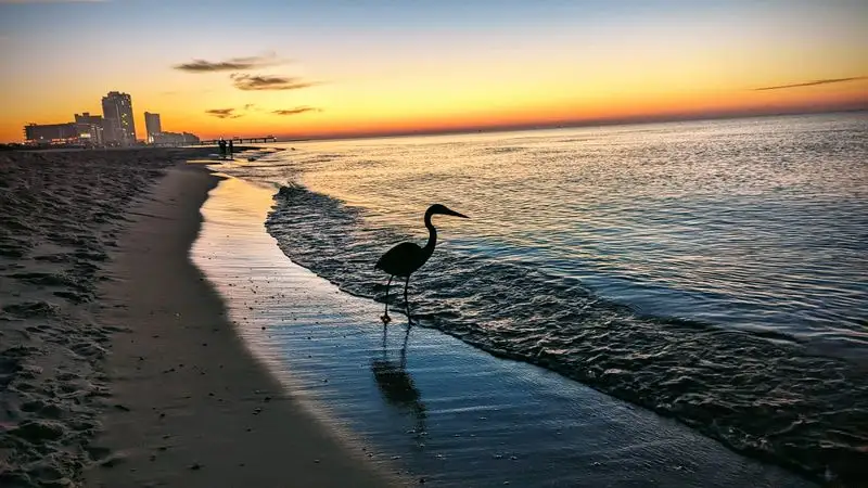Orange Beach, Alabama