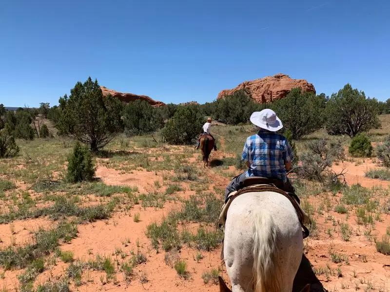 Mountain Biking and Horseback Options