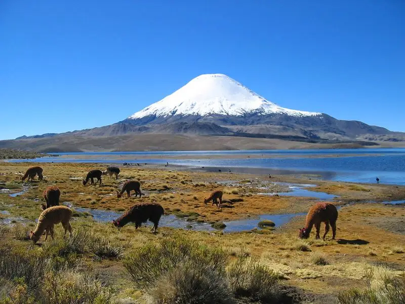 Parinacota, Chile